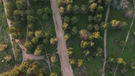 4k 60fps | vista de pájaro del sendero en el parque durante la tarde