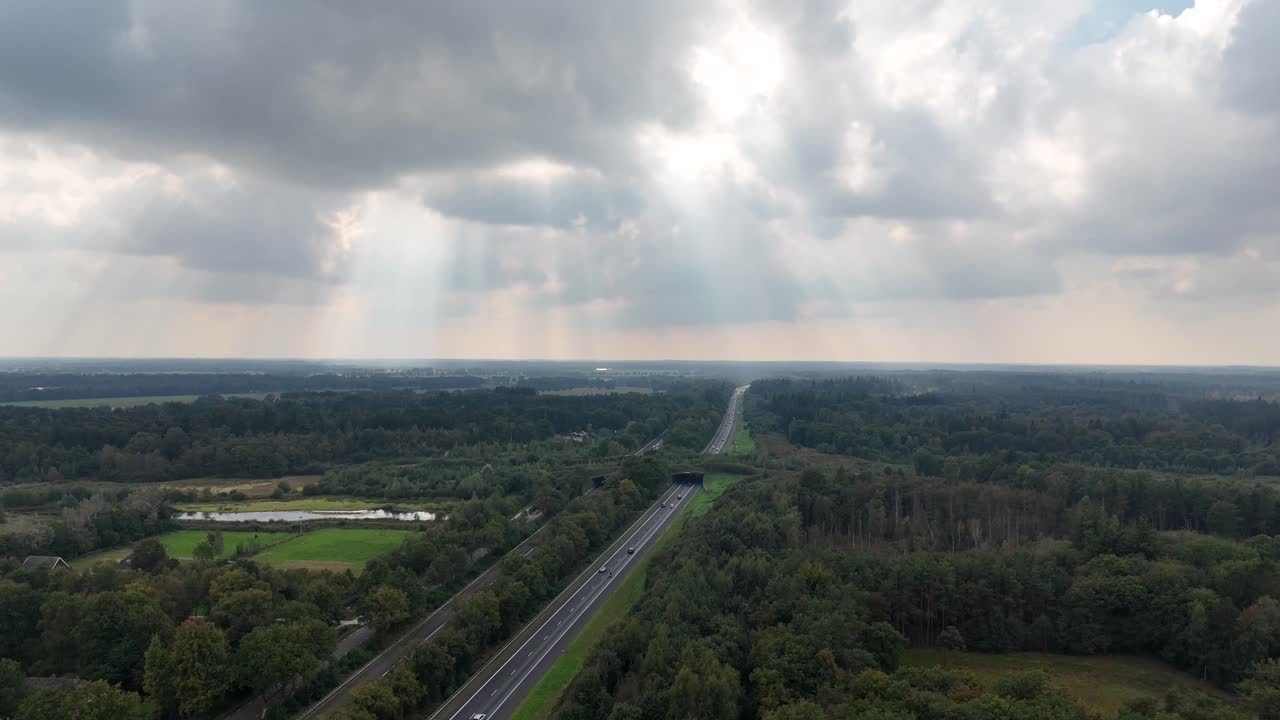 Highway Through Forest with Sun Rays