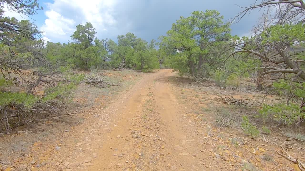 pov conduciendo en un vehículo todo terreno en un sendero fuera de la carretera en las montañas de colorado