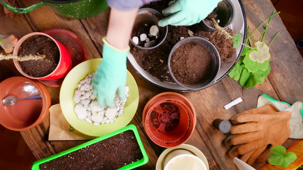 manos de una mujer preparando una olla para plantar flores
