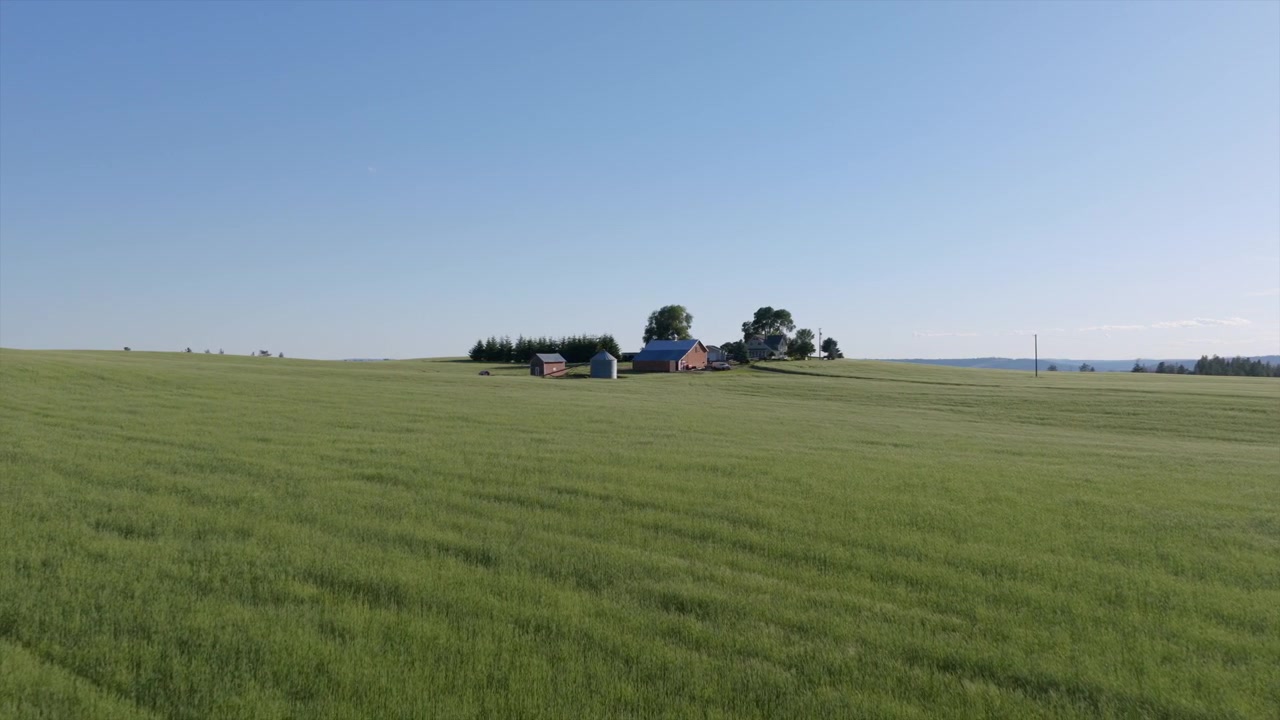 Ripresa con drone di un campo verde lussureggiante che conduce a una fattoria lontana vicino a Spokane, WA, sotto un cielo azzurro e limpido