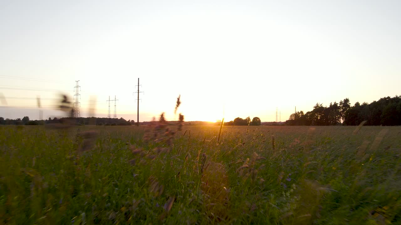 Gorgeous aerial flythrough or flyover over a grassy wheat farmfield during sunset on sunrise that is golden and orange colored at a countryside. Electrical lines and large trees in the background.