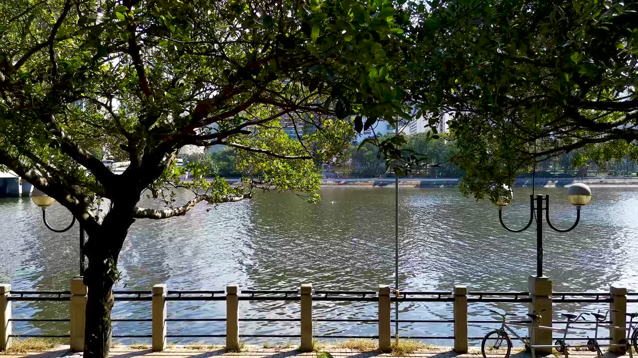 시적인 동화의 아름다운 그림, 강변 나무 그늘 아래 자전거 도로 구성