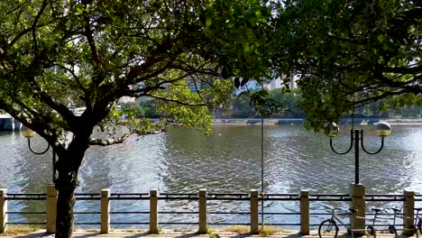 composition of poetic fairytale beautiful picture, cycling trails under the shadow of riverside trees