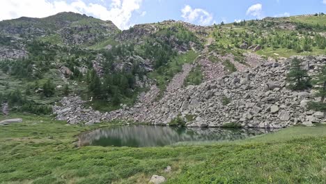 still alpine lake nestled beneath rocky slopes and conifer-covered ridges in alpe veglia, italy, under a bright summer sky