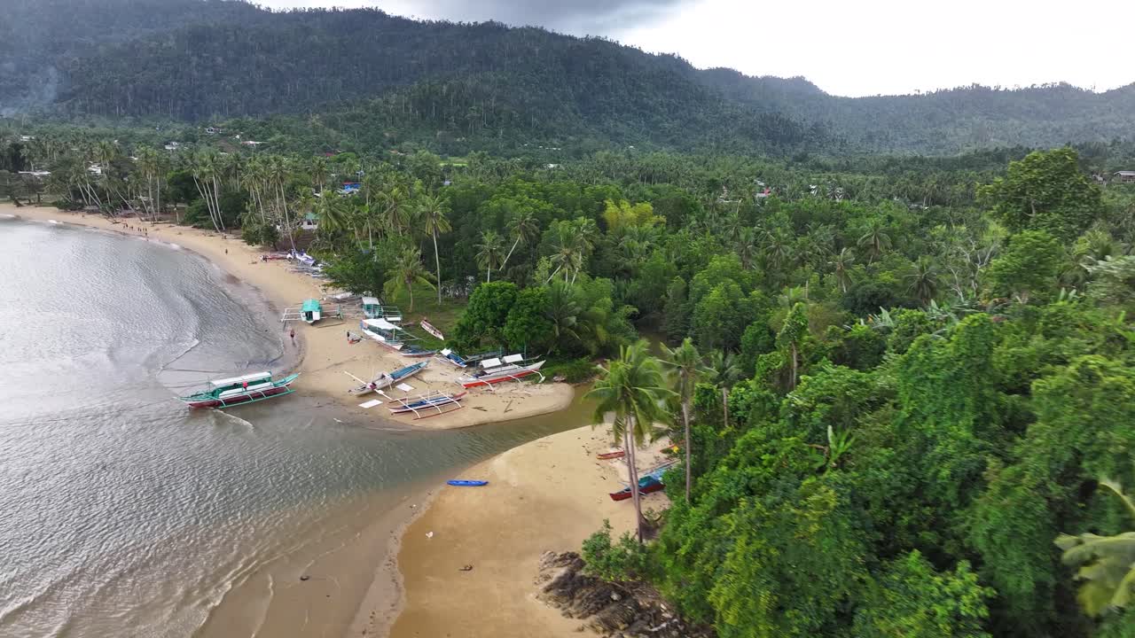 Aerial of sandy beach lined by palm trees in Port Barton, Palawan, Philippines