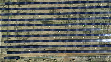 Above-View-Of-Huge-Construction-Site-Of-Solar-Power-Panels-For-Renewable-Energy