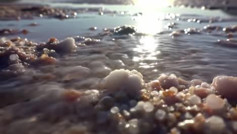 the shimmering beauty of a saline shoreline: close-up views of glimmering salts and ocean reflections captured in tranquil waters