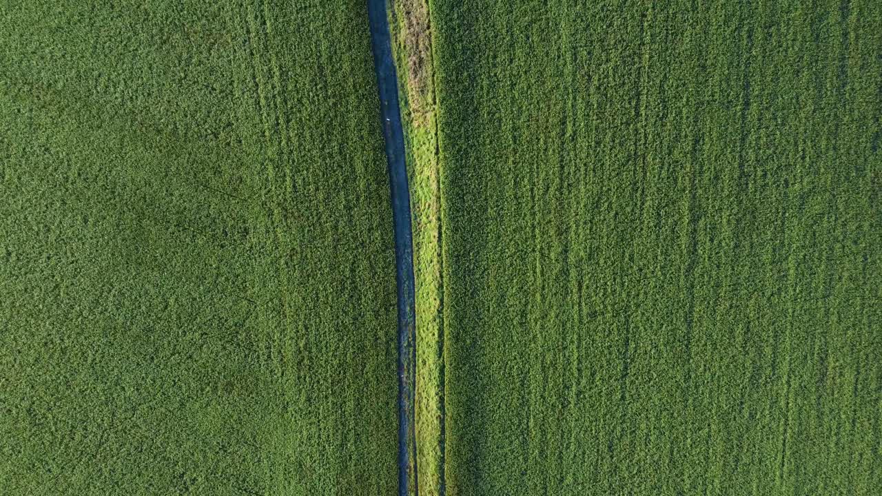 vista aérea de arriba hacia abajo de tierras de cultivo verdes y caminos rurales en el medio