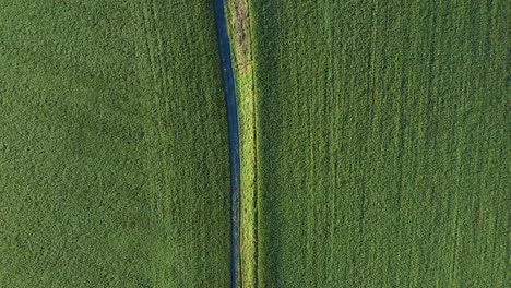 Vista-Aérea-De-Arriba-Hacia-Abajo-De-Tierras-De-Cultivo-Verdes-Y-Caminos-Rurales-En-El-Medio