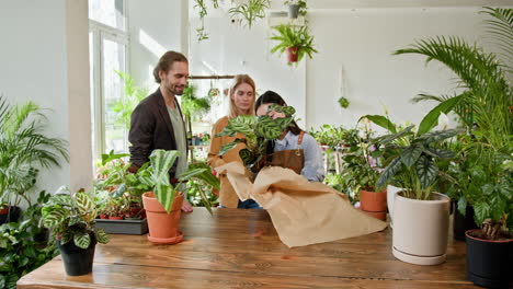 personas mirando plantas en una tienda de plantas
