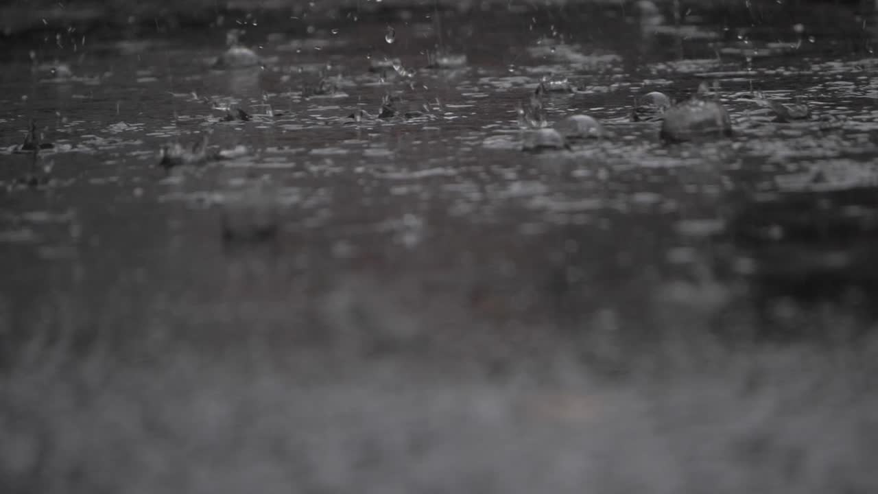 Raindrops Falling And Splashing Into Asphalt Surface During Storm