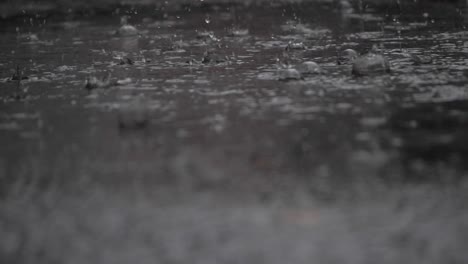 raindrops falling and splashing into asphalt surface during storm