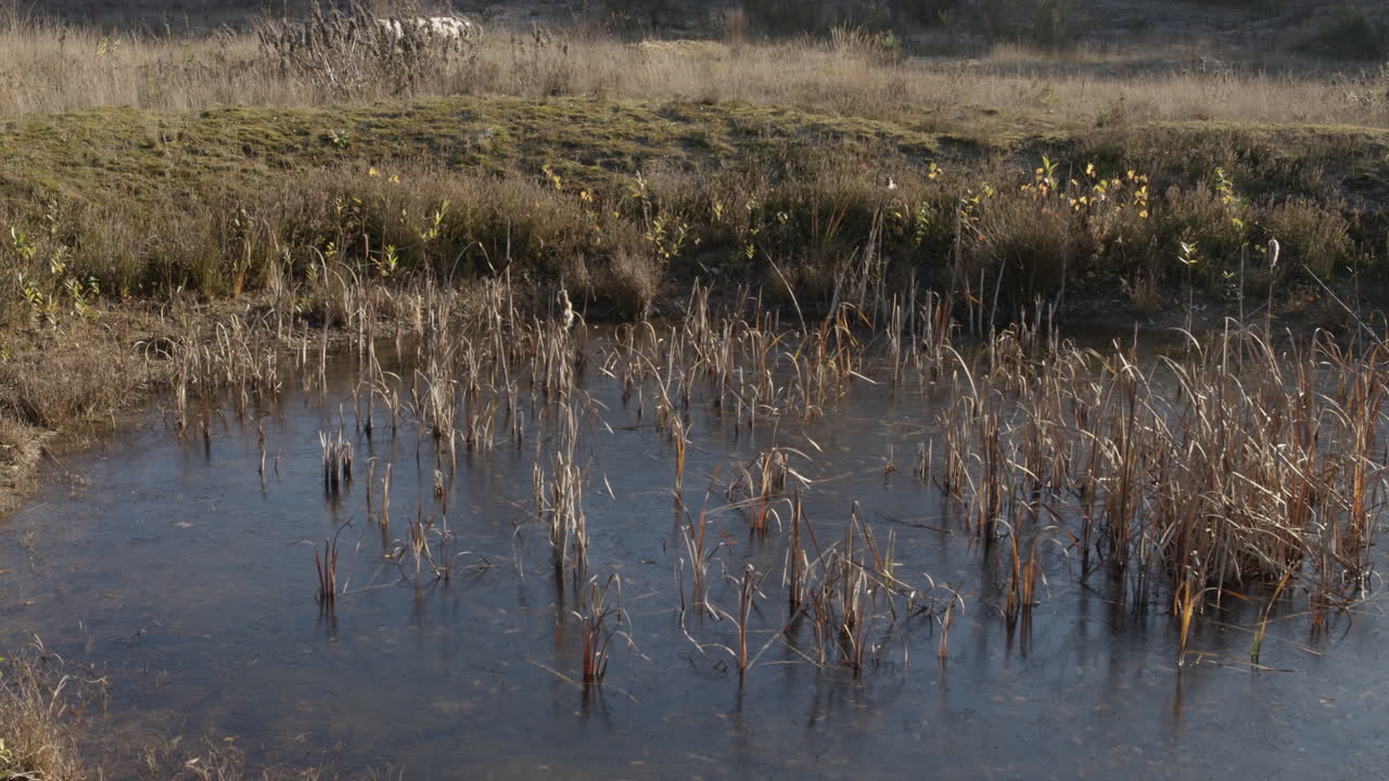 Frozen pond in field