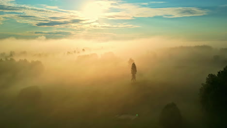 early morning fog enveloping the serene countryside of latvia