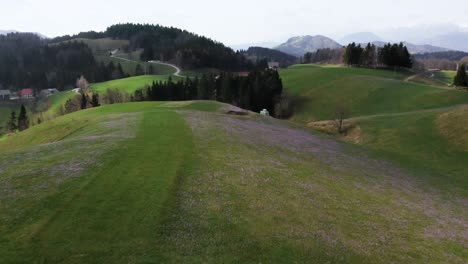 Push-in-tilting-down-shot-of-sweeping-meadow-graced-with-a-sea-of-purple-crocuses,-saffrons-flows-into-the-distance,-where-snow-dusted-mountains-stand-against-a-soft-sky