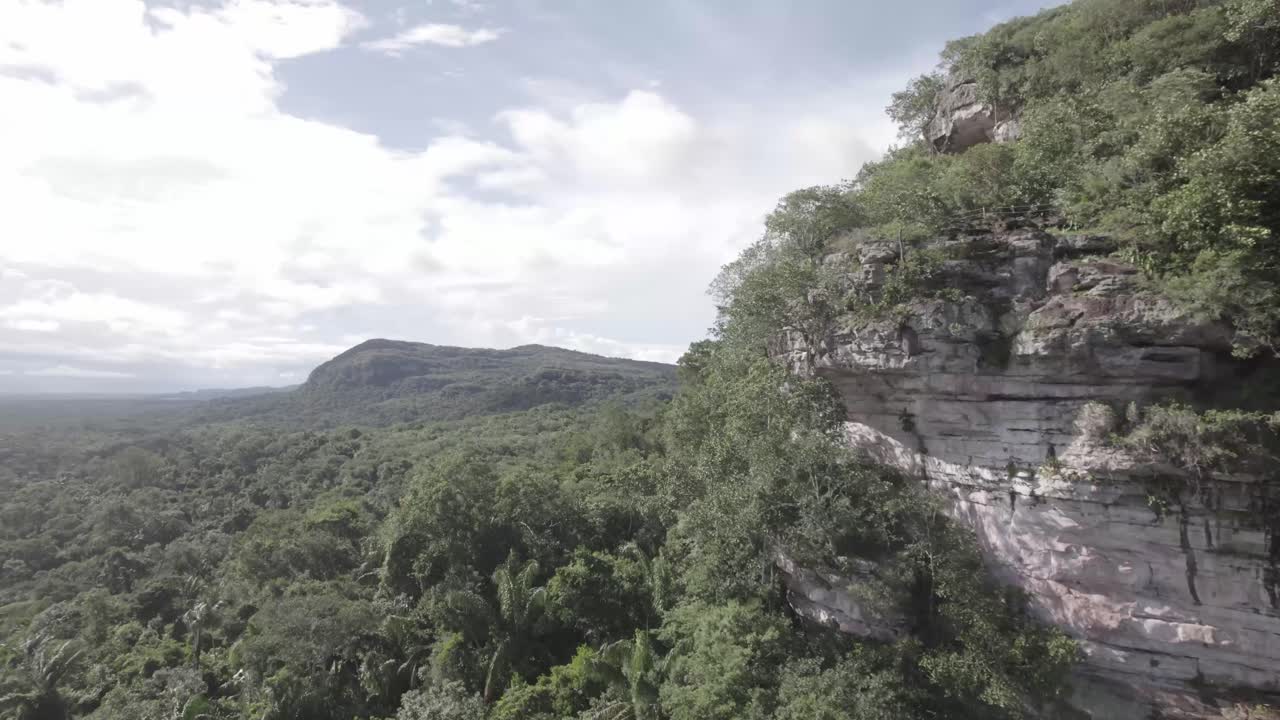 bosque profundo y región histórica de la amazonia en colombia que encierra la serranía de la lindasa donde se encuentra el cerro pinturas