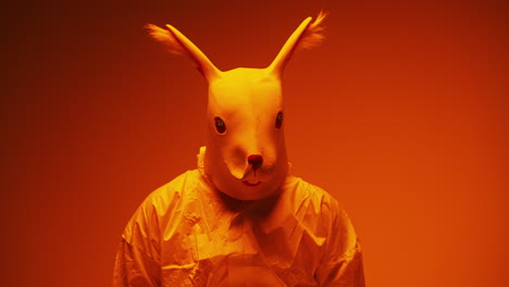 person in a squirrel mask