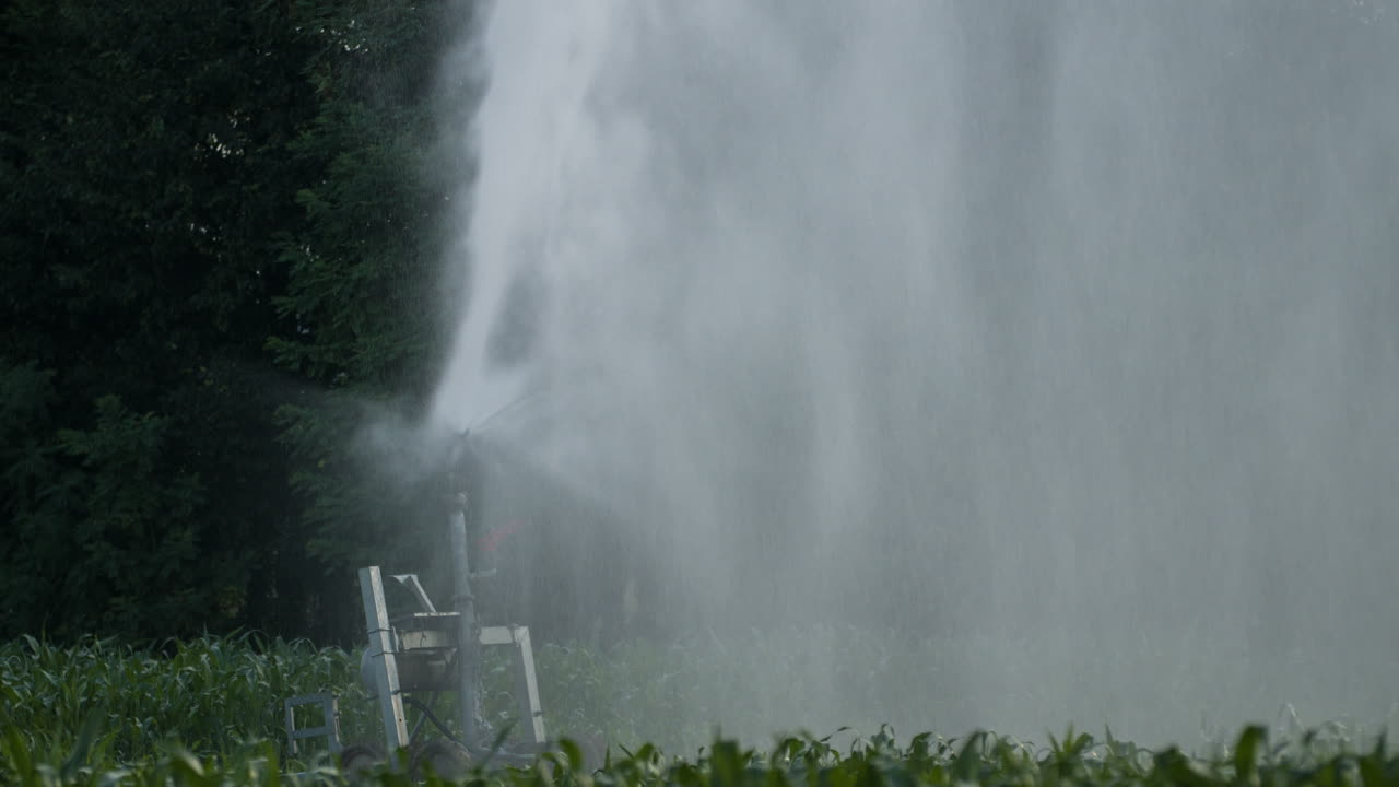 농장 물 스프링클러 4k 01