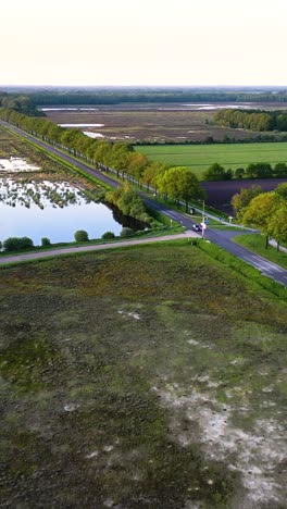 dutch countryside road with trees and water features