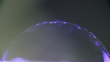 macro shot of a transparent sphere glowing purple in the dark