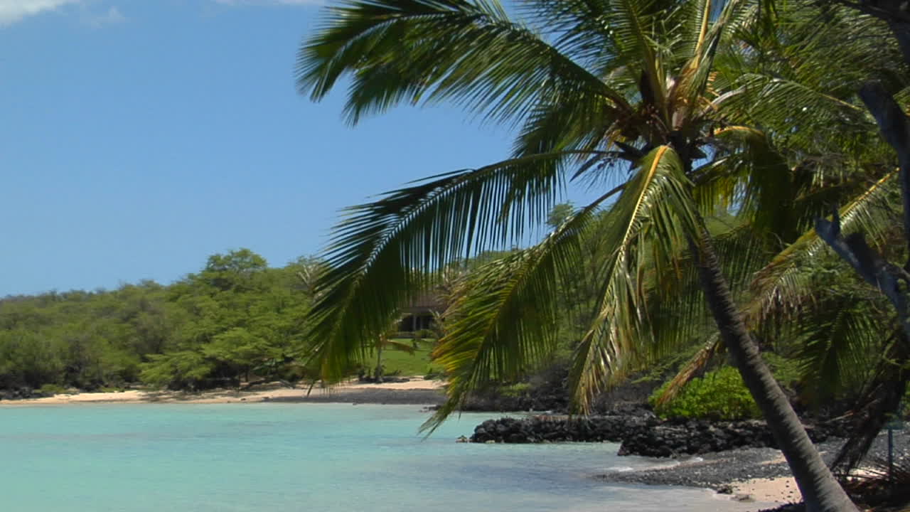 검은 모래 해변과 야자수가 늘어선 열대 섬 1