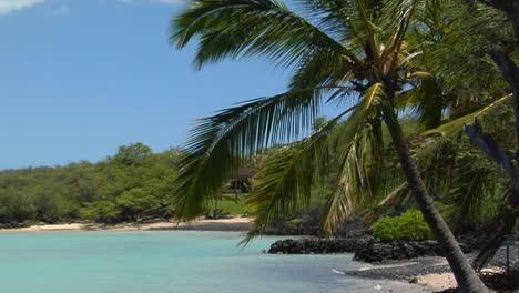 A-Black-Sand-Beach-And-Palms-Line-A-Tropical-Island-1