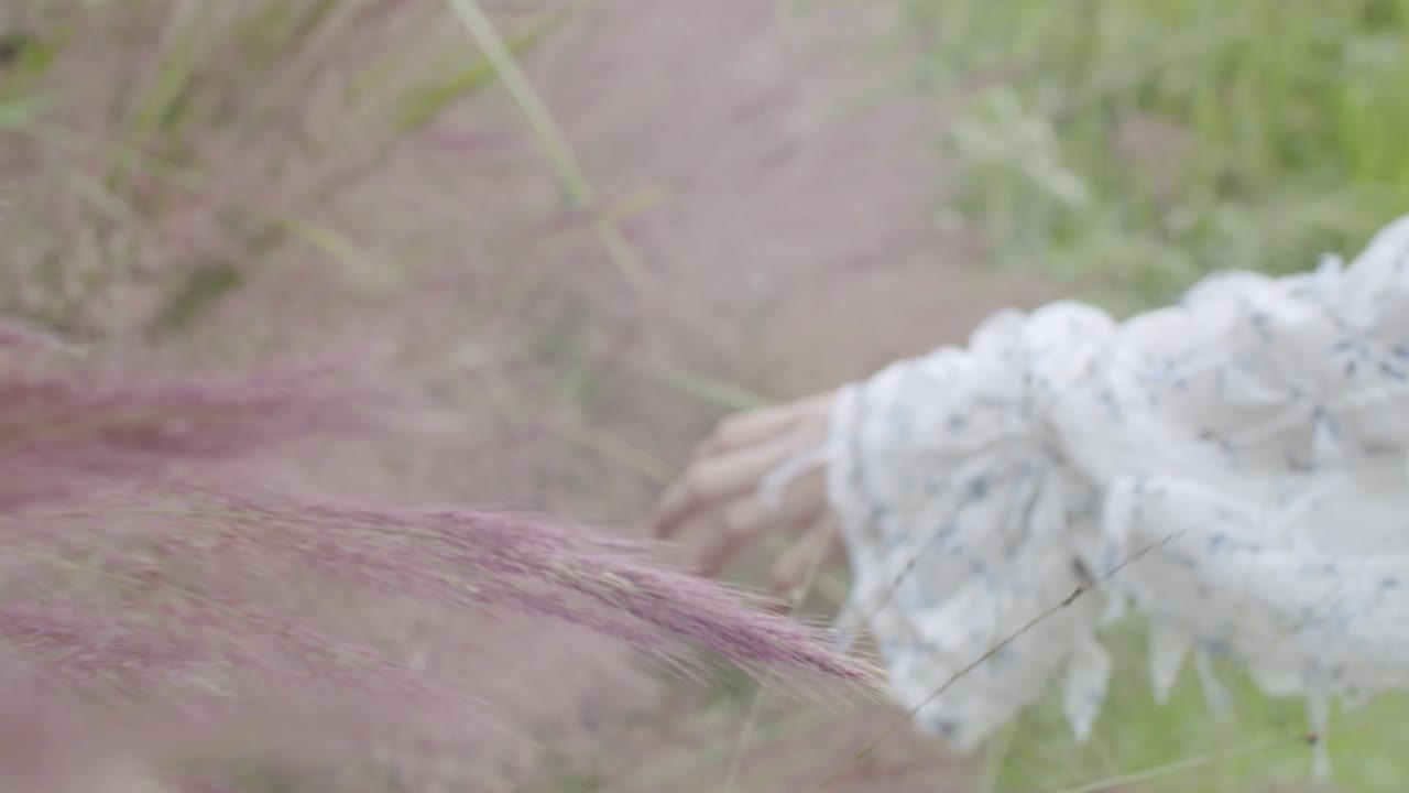 Woman in a field of tall pink grass