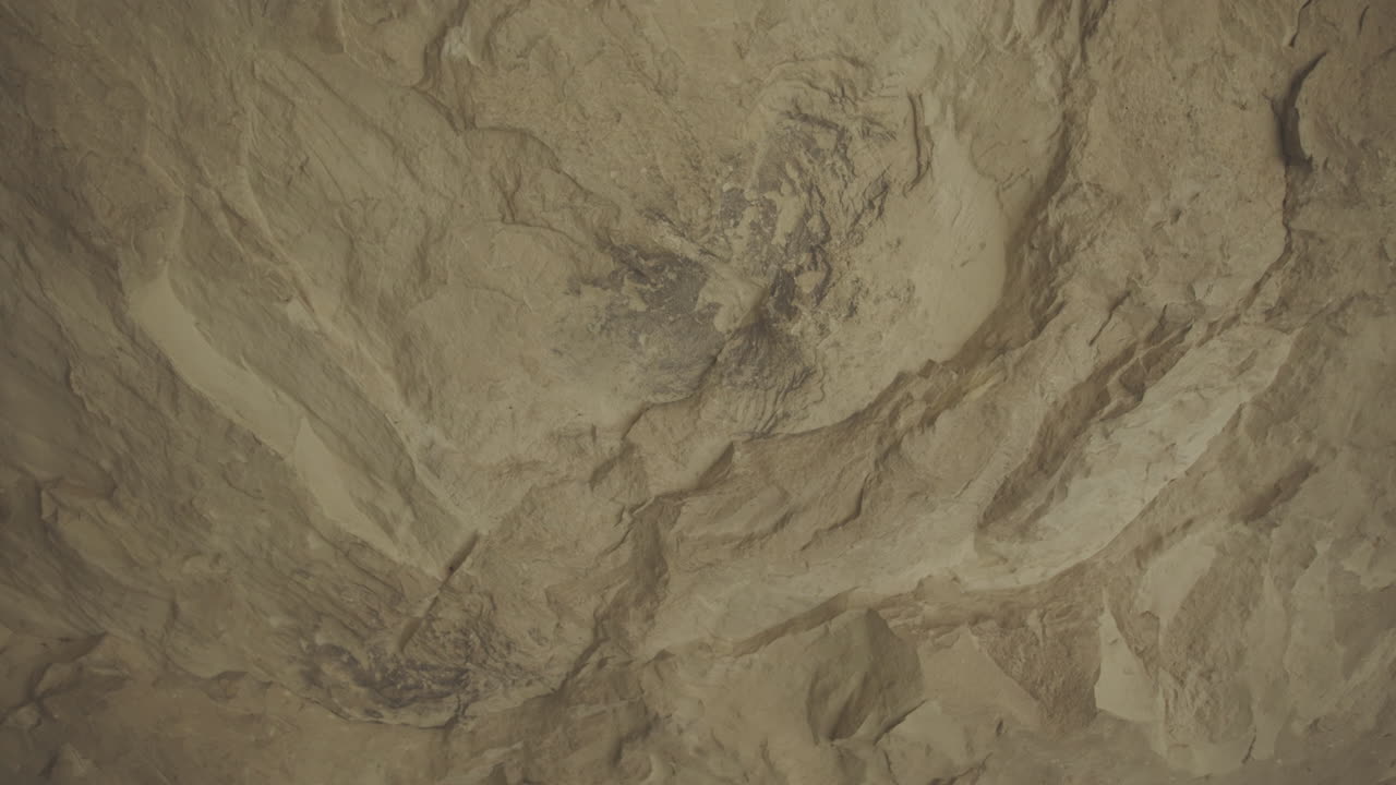 techo rocoso de la cueva