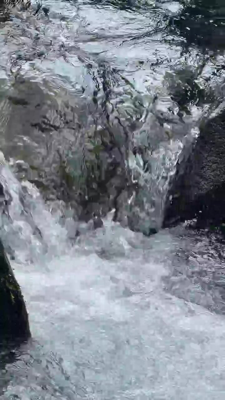 Acqua limpida che scorre sulle rocce in un ruscello di montagna