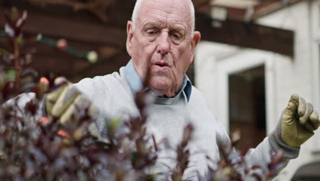 elderly man gardening