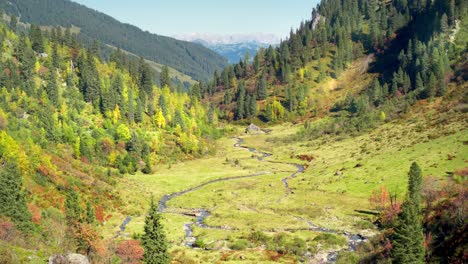 Hermoso-Paisaje-Alpino-En-Un-Soleado-Día-De-Otoño-árboles-Verdes-En-Las-Laderas-De-Las-Montañas-Y-Un-Pequeño-Valle-En-El-Medio-Con-Un-Pequeño-Arroyo-Y-Pastos-Verdes