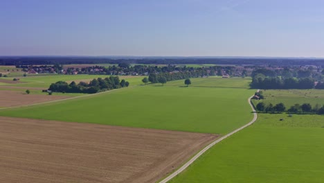 Fliegen-über-Eine-Sommerlandschaft-Aus-Grünen-Und-Wachsenden-Feldern-Unter-Einem-Strahlend-Blauen-Himmel