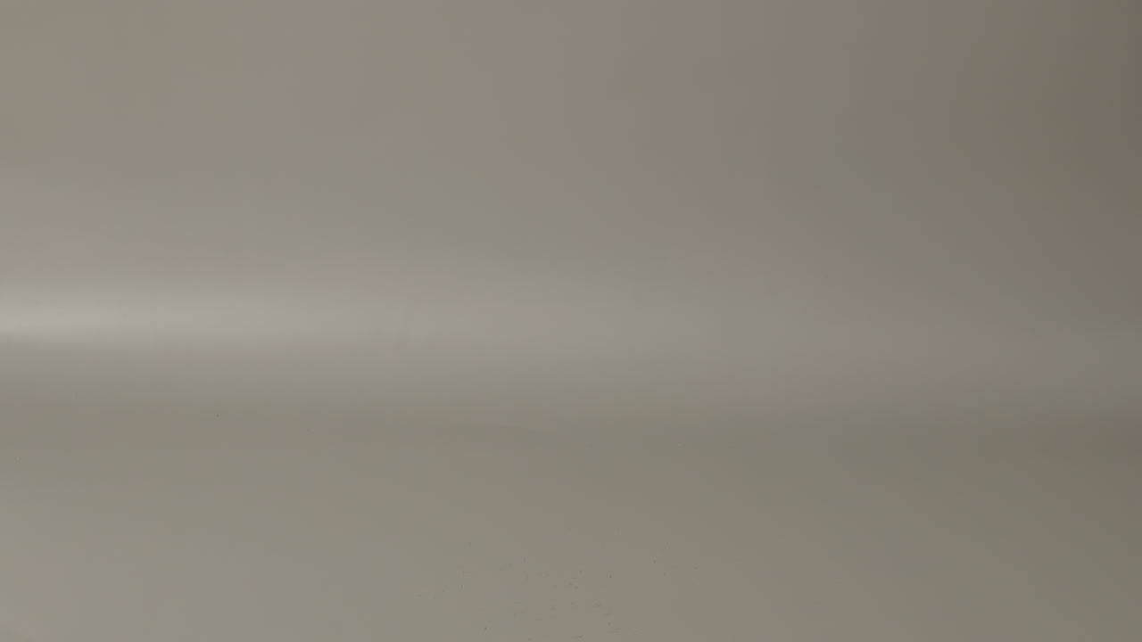 fotografía en cámara lenta del gatito corriendo de la cámara derecha a la cámara izquierda y saltando