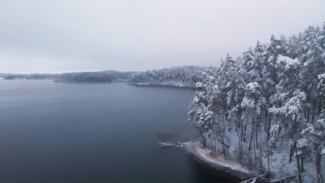 Toma-Aérea-Del-Lago-Helado-Rodeado-De-Bosques-De-Pinos-Cubiertos-De-Nieve-En-Medio-Del-Invierno