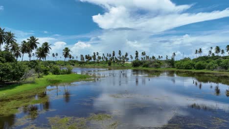 paisaje del lago en lagoa do sal en río grande do norte, brasil