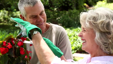 retired couple gardening together