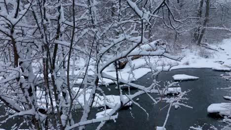 A-Horizontal-pan-of-a-partially-frozen-river-running-through-a-dense-part-of-the-forest-in-winter-time