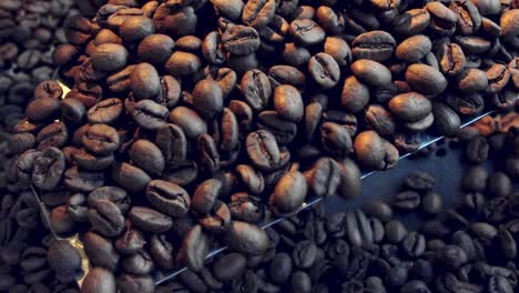 stirring an scooping coffee beans in the roaster - isolated close up and trickle off in slow motion