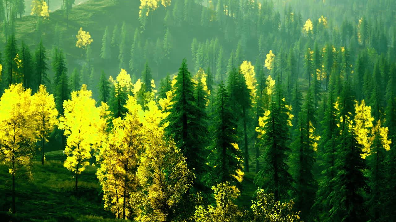 Lush green forest with vibrant autumn foliage in a serene landscape
