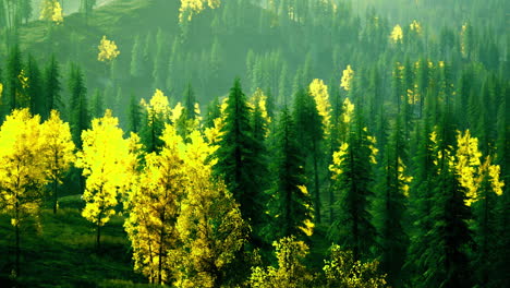 lush green forest with vibrant autumn foliage in a serene landscape