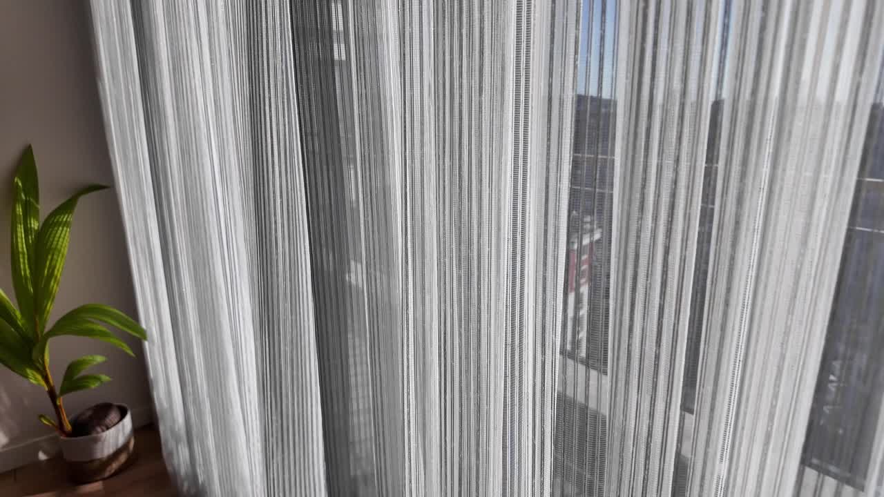 Interior view with curtains and plant