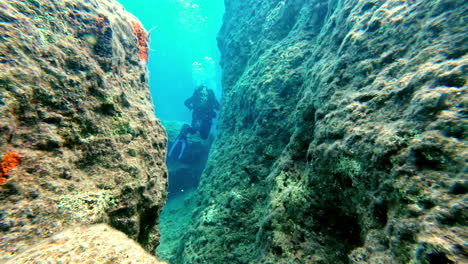 buzos que nadan bajo el agua - tiro de seguimiento