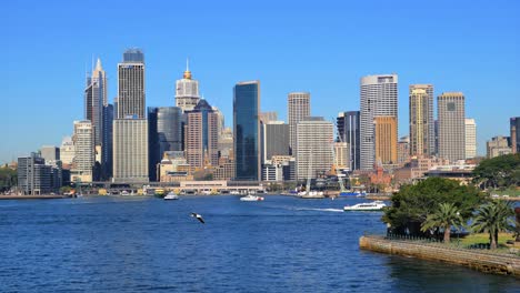 sydney harbour and cbd in 4k