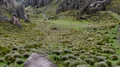 green field surrounded with rugged rock formations in cumbemayo at cajamarca, peru