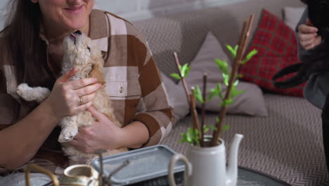 nature devotee holding chow chow puppy while daughter holds russian blue kitten sitting on sofa amidst indoor plants and seed tray capturing pet bonding and gardening scene on glass table