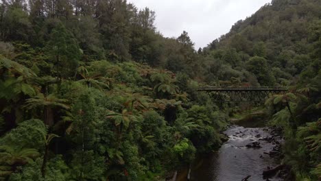 Drone-footage-revealing-an-old-steel-bridge-that-crosses-a-brown-river-within-a-dense-rainforest