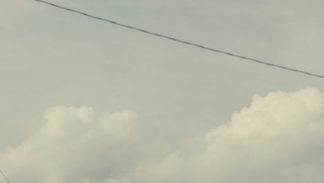 cielo, nubes, cables eléctricos y hojas de árboles vistos desde abajo, caminando con la cabeza en alto