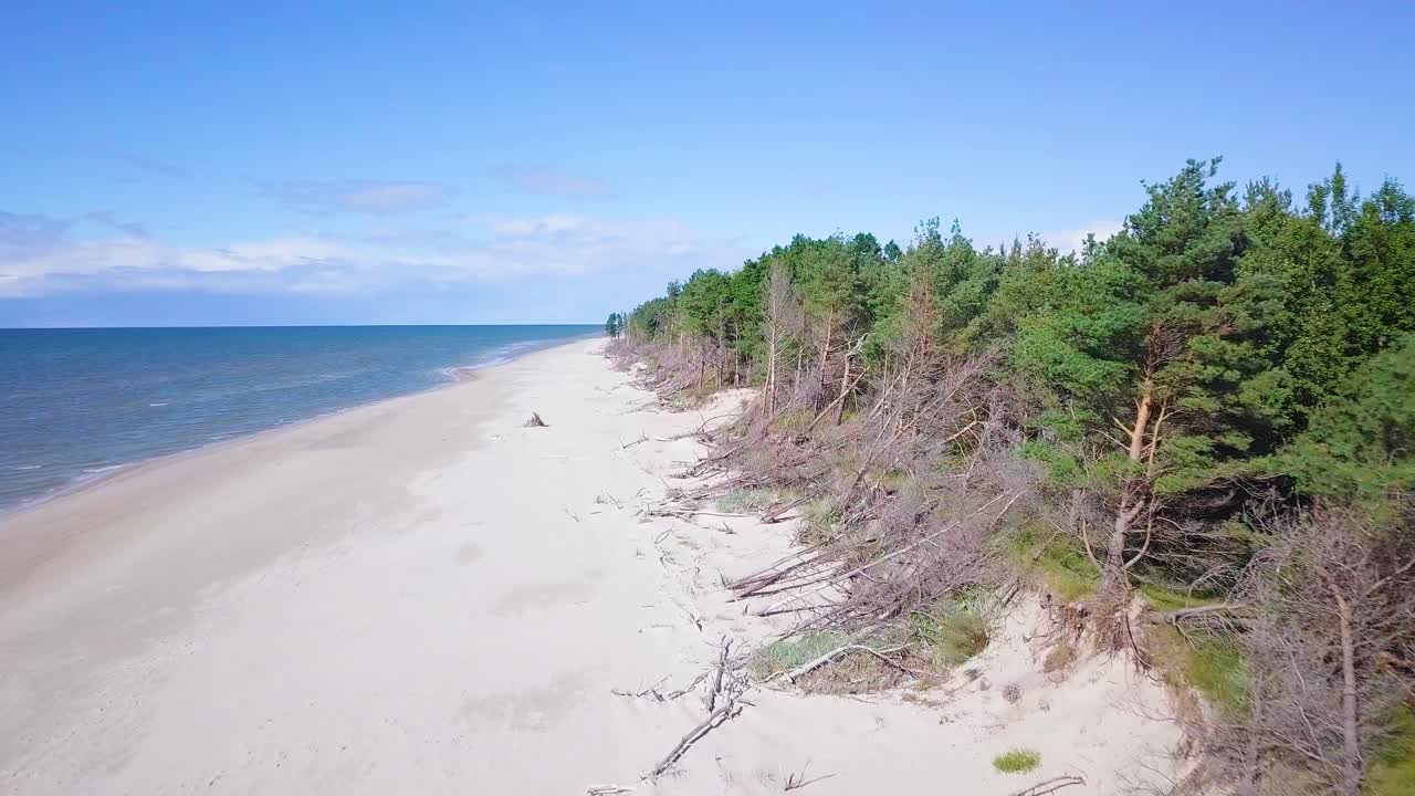 Aerial view of Baltic sea coast on a sunny day, white sand seashore dunes damaged by waves, broken pine trees, coastal erosion, climate changes, wide angle drone shot moving forward