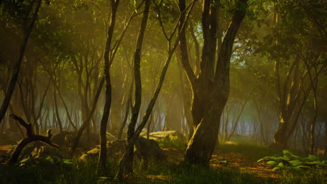 bosque encantado en luz mágica